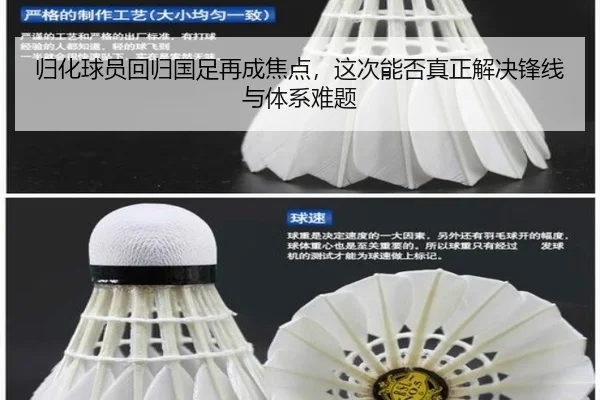 归化球员回归国足再成焦点，这次能否真正解决锋线与体系难题